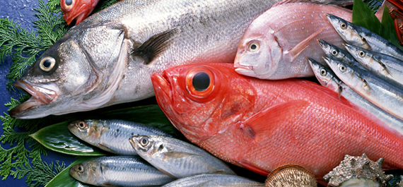 生鮮魚