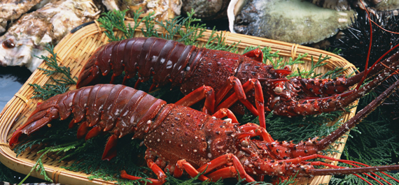 業務用高級珍味