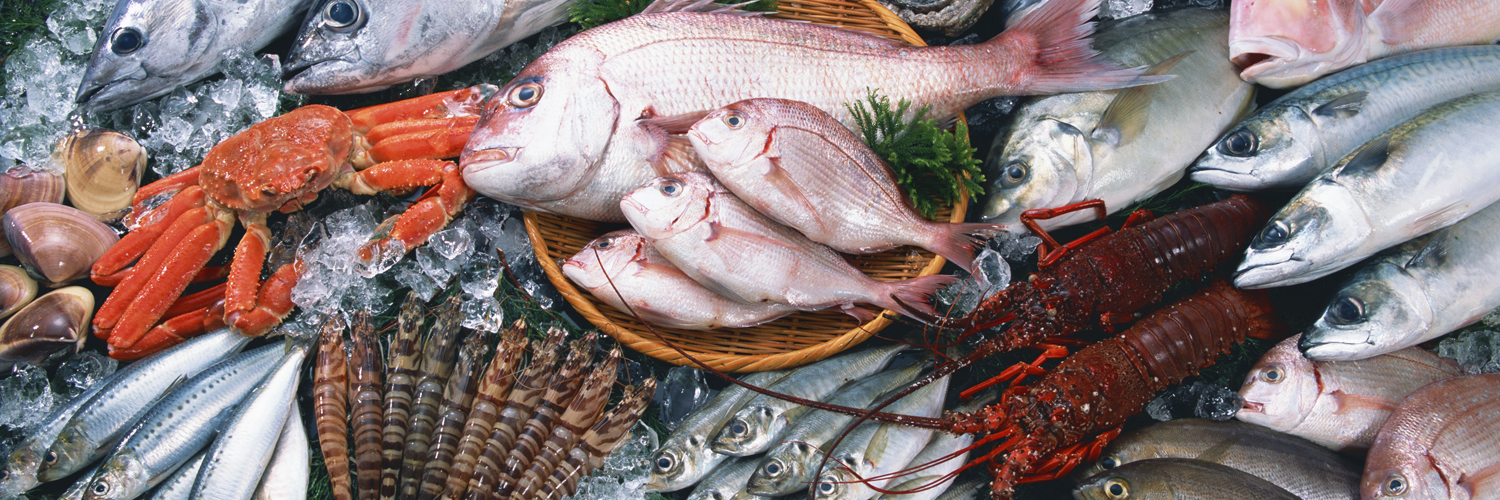 立富冨士株式会社は、いいものをお客様にご提供いたします。